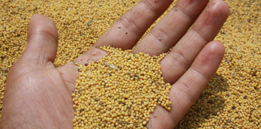 Agriculture, Dairy and Fishery