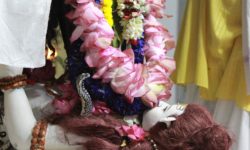 Kali Puja-worship of the Divine Mother